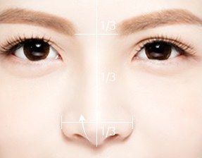 여성 모델 얼굴에 코 길이 1/3 비율 안내선