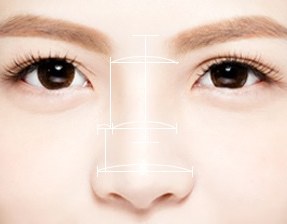 콧대와 콧볼 폭 안내선