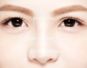 콧대와 콧볼 폭(입술 폭·눈 안쪽 끝 수직선) 안내선